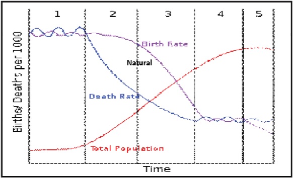 Demographic_Cycle