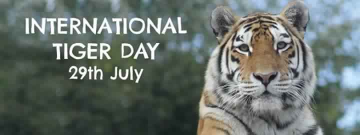 international-Tiger-Day