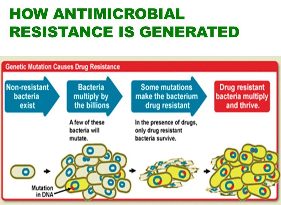 ANTIMICROBIAL_RESISTANCE