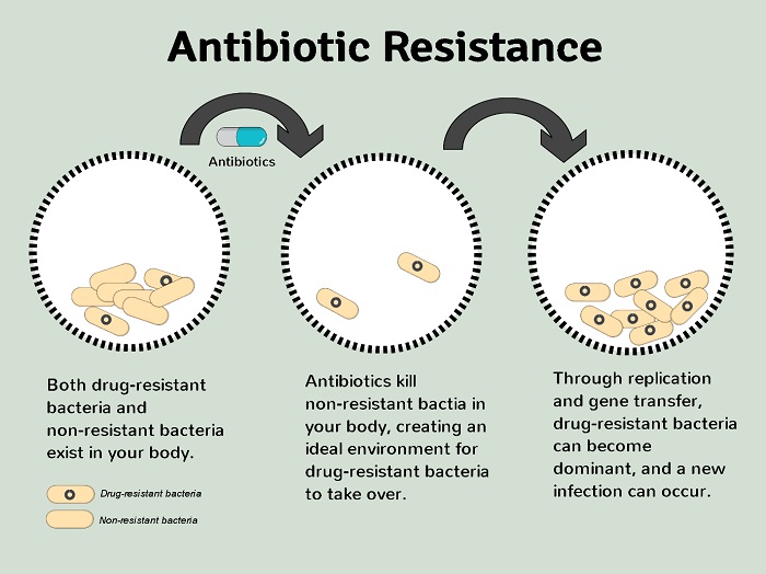 antibiotic-resistance
