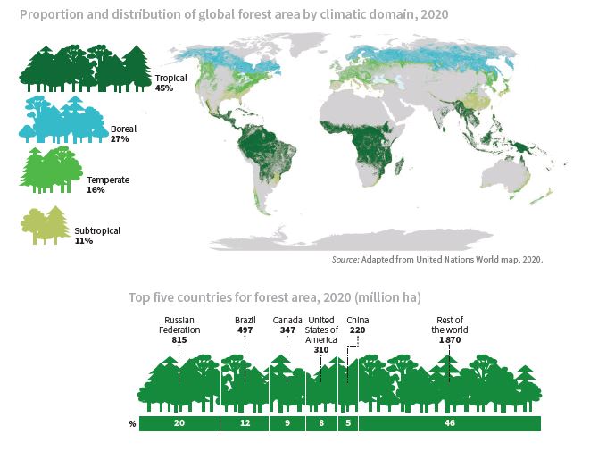 Global Forest Resources Assessment, 2020